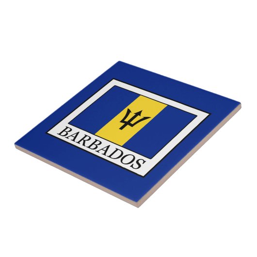 バルバドス タイル (側面)