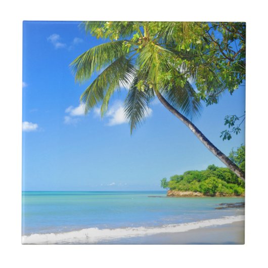 バルバドス タイル (正面)