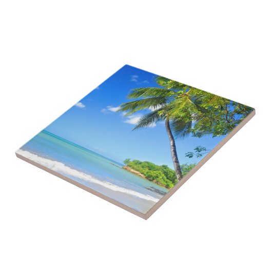 バルバドス タイル (側面)