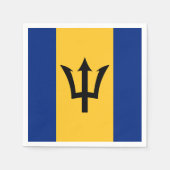 バルバドス・ナプキンス、パーティー、バルバドス国旗 スタンダードカクテルナプキン (正面)