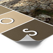 バルバドス・バシバ ポスター (角)