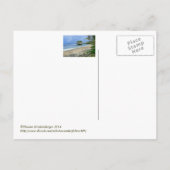 バルバドス(ビーチ/ラージロック)葉書 ポストカード (裏面)