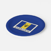 バルバドス ペーパープレート (アングル)