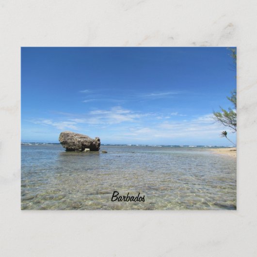 バルバドス – 東海岸1 ポストカード (正面)