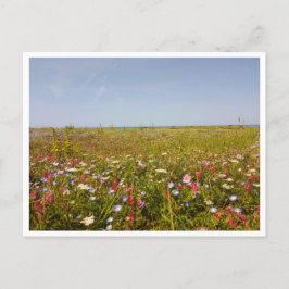 バルバート、アンダルシア（スペイン） ポストカード