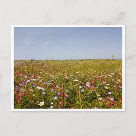 バルバート、アンダルシア（スペイン） ポストカード (正面)