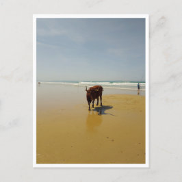 バルバート、アンダルシア（スペイン） ポストカード