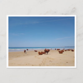 バルバート、アンダルシア（スペイン） ポストカード