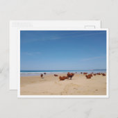 バルバート、アンダルシア（スペイン） ポストカード (正面/裏面)