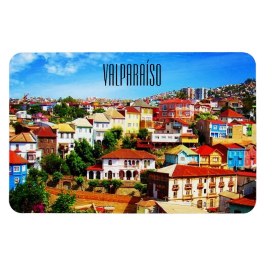 バルパニソチリ マグネット (横)