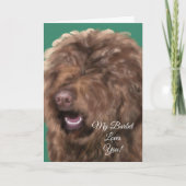 バルベ カード (正面)