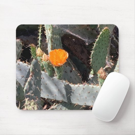 バルボア公園のサボテンのオレンジ色の花 マウスパッド (マウス)