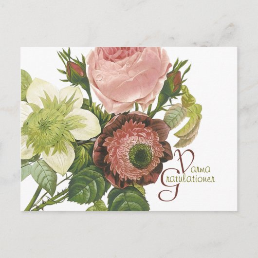 バルマグラチュアナーCC0138 ポストカード (正面)