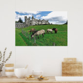 バルモラル城の馬 ポスター (キッチン)