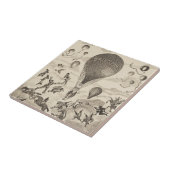 バルーンフランスのメーカー用広告 タイル (側面)