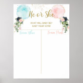 バルーン投票、ベビーガールまたは男の子ポスターをキャスト ポスター (正面)