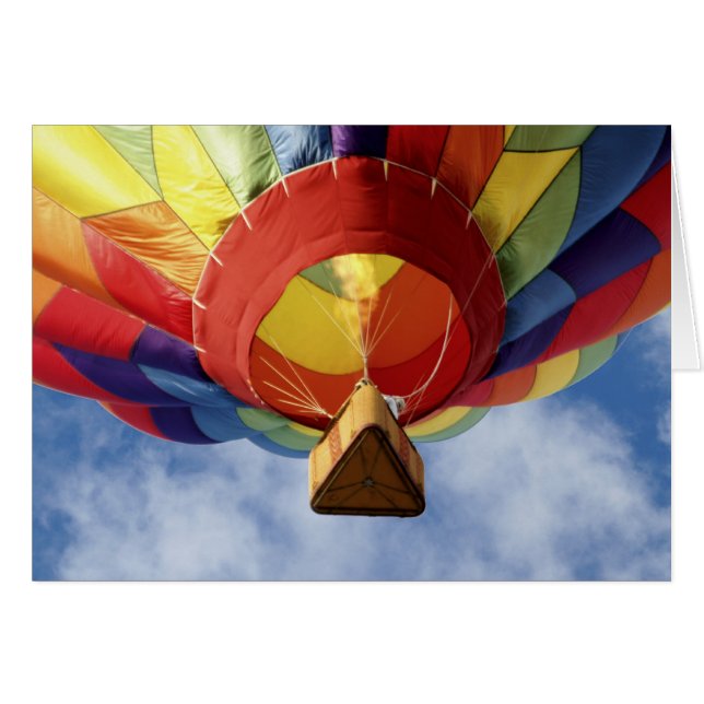 バルーン6139 (正面横)