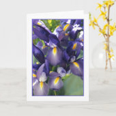 バレエのアイリス写真グリーティングカード。 カード (黄色い花)