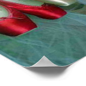 バレエカラフルシューズ ポスター (角)