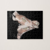 バレエシューズのフラクタル ジグソーパズル (横)