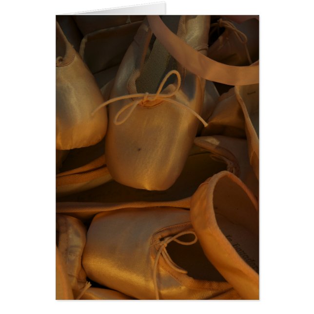 バレエスリッパII (正面)