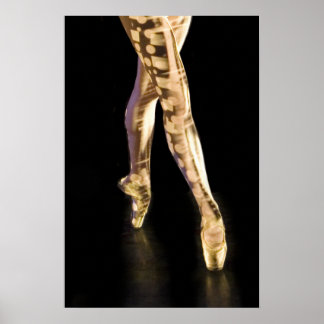 バレエポスター–4204 ポスター