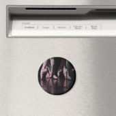 バレエ靴 マグネット (インサイチュ (食洗機))