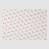 バレリナポインテシューズ図解入りの、写真付きの 薄葉紙 (正面)