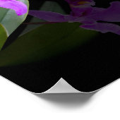 バレリーナとオーキッドオンブラック ポスター (角)