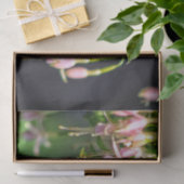 バレリーナの花 薄葉紙 (ギフト)