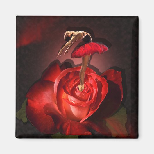 バレリーナバラ – マグネット (正面)