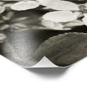 バレリーナフラムスヴィンテージ写真プリント フォトプリント            (角)