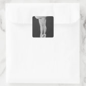 バレリーナ スクエアシール (バッグ)