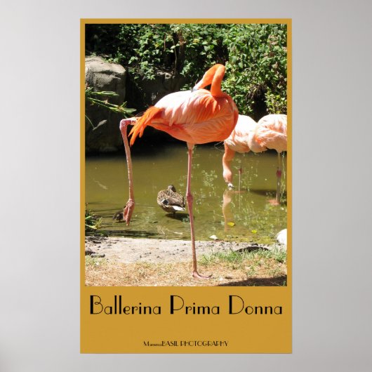バレリーナ・プリマドンナのポスター！ ポスター (正面)