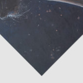 バレリーナ・ムーンライト 薄葉紙 (詳細)