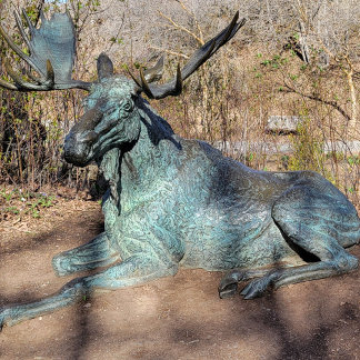 バレリーナ&ロボット Tシャツ