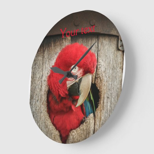 バレルの緑の翼のコンゴウインコのオウムと時間を記録して下さい ラージ壁時計 (傾斜)