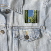 バレルカクタス I 砂漠の写真 缶バッジ (インサイチュ)