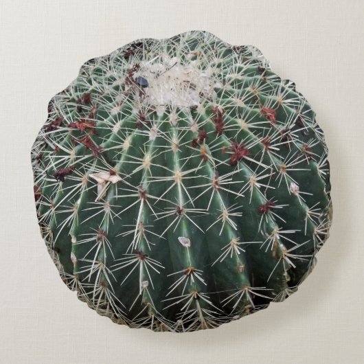 バレルサボスサウスウエストデザイン砂漠の植物 ラウンドクッション (裏面)