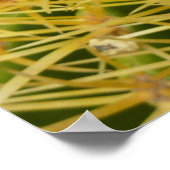 バレルサボテンのクローズアップ抽象芸術自然撮影 ポスター (角)