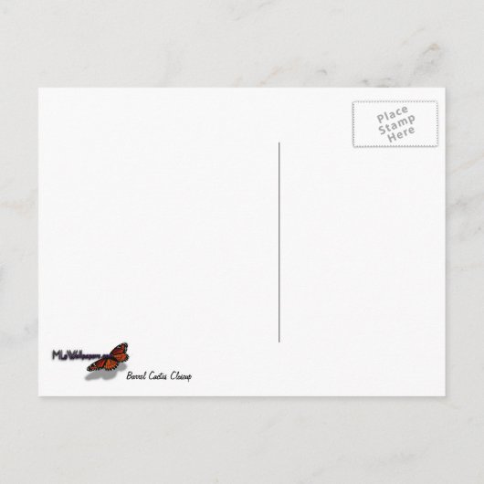 バレルサボテンのクローズアップ抽象芸術自然撮影 ポストカード (裏面)