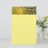 バレルサボテンのクローズアップ抽象芸術自然撮影 便箋 (スタンド正面)