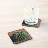 バレルサボテンのプラスチックコースター コースター (右側)