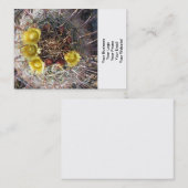 バレルサボテン植物釣り針イエロー 名刺 (正面/裏面)