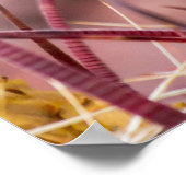 バレルサボテン ポスター (角)