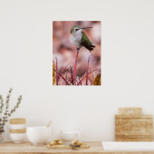 バレルサボテン ポスター (キッチン)