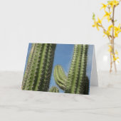 バレルサボテンI砂漠の写真 カード (黄色い花)