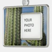 バレルサボテンI砂漠の写真 シルバープレートフレームオーナメント (左)