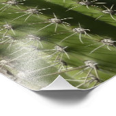 バレルサボテンI砂漠の写真 フォトプリント (角)