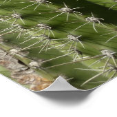 バレルサボテンI砂漠の写真 ポスター (角)